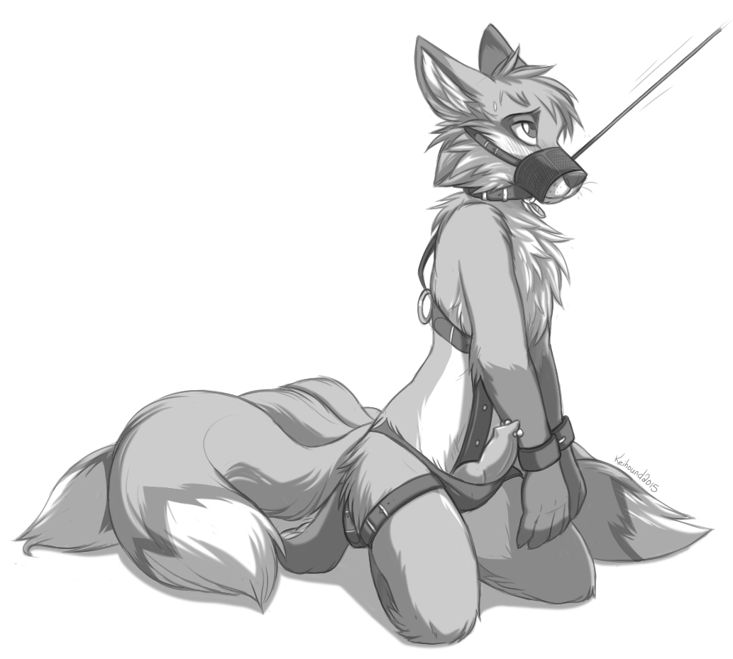 1boy 2015 anthro bondage bound canine clothing erection fur greyscale keihound leash male male_only mammal monochrome penis plain_background solo