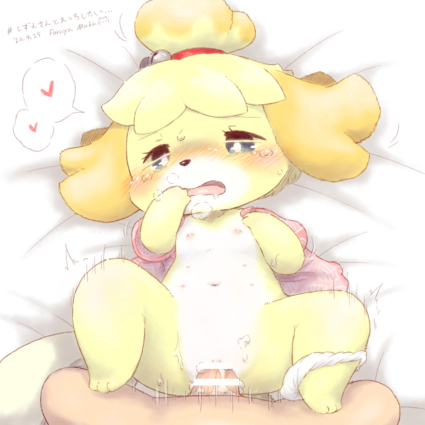 2025 animal_crossing blush blushing_profusely cub cute flat_chest flat_chested heart intimate japanese_text legs_up moaning penis_in_pussy sex tears_of_pleasure underwear_around_one_leg underwear_down