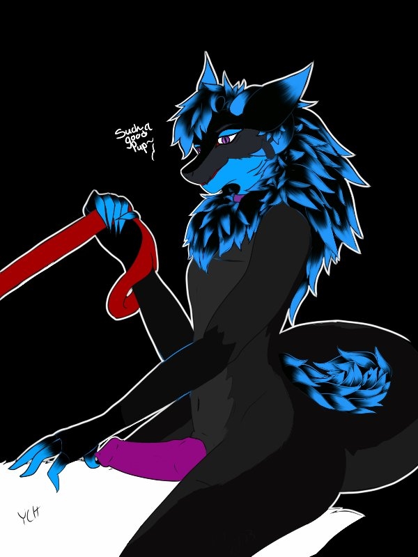 amislost anthro biped black_body black_fur black_hair black_hand black_hands blue_body blue_fur blue_hair body_hair chest_fur chest_hair chest_tuft claws clothed clothing digital_drawing_(artwork) digital_media_(artwork) digitigrade duo erection finger_claws fingers fluffy fluffy_ears fluffy_hair fluffy_neck_fur fluffy_tail fur genitals hair horn itzexelise_(jamie_the_wicker) leash leash_pull male multicolored_body neck_tuft nude penis sex tail text tuft white_body white_hair wickerbeast ych_(character)