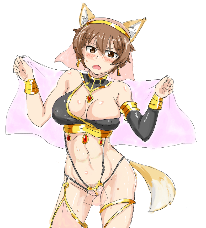 animal_ears arabian_clothes arabian_outfit blush breasts brown_eyes brown_hair clothing fox_ears fox_tail harem_outfit jewelry jewels katou_keiko large_breasts open_mouth pubic_hair strike_witches tail world_witches_series