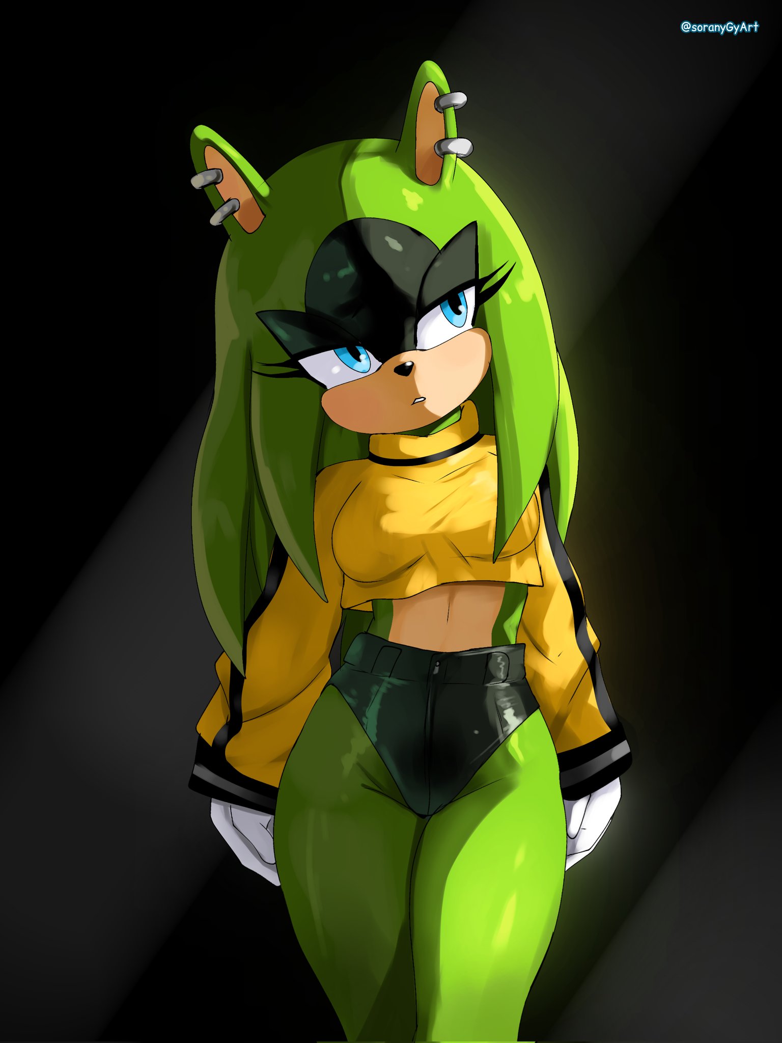 1girls, clothed, clothing, crop top, cropped jacket, disinterested, female, female only, hair down, looking away, pierced ears, piercing, piercings, sega, solo, solo female, sonic (series), sonic the hedgehog (idw), sonic the hedgehog (series), soranygy, surge the tenrec