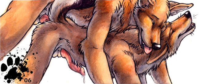 2006 anal anal_sex anatomically_correct anthro blotch canine fox gar male mammal mixed_media old pen_(artwork) penetration penis traditional_media_(artwork) vintage watercolor_(artwork) yaoi