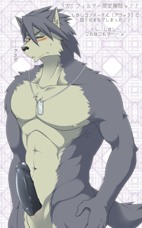 1boy abs anthro blush broad canine closed_eyes dog_tags edit erection fur grey_fur grey_hair hair humanoid_penis husky ig japanese_text kouya_aotsuki male male_only mammal muscles nipples nude pecs penis shoulders solo text toned uncensored