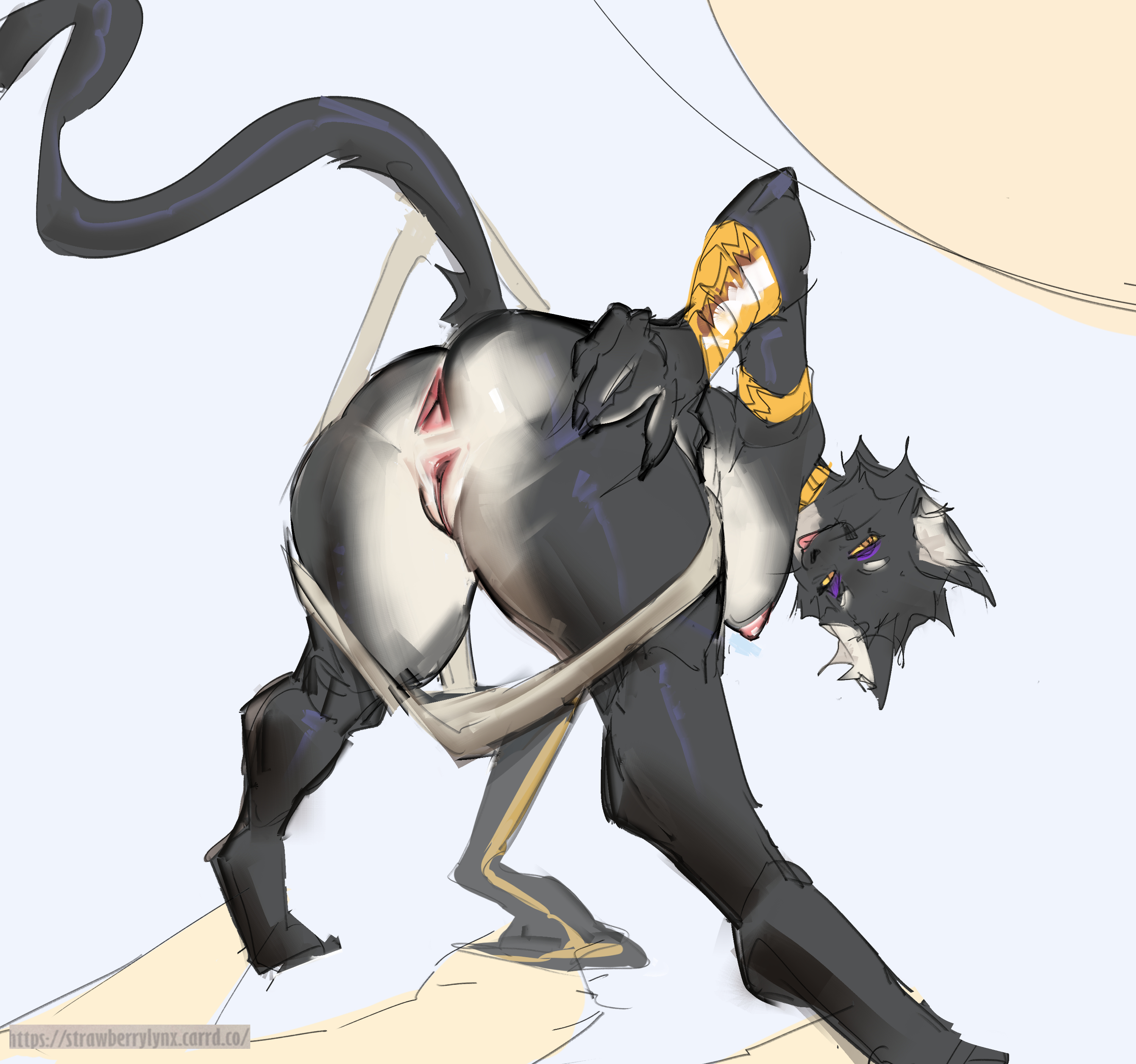 absurd res, anthro, anus, ass, bacardi (muart242), black body, breasts, collar, domestic cat, felid, feline, felis, female, genitals, gold (metal), gold collar, gold jewelry, hi res, jewelry, low-angle view, makeup, mammal, metal collar, nipples, pussy, simple background, solo, spread butt, spreading, strawberry lynx, tail, text, thick thighs, url, vulva, white body