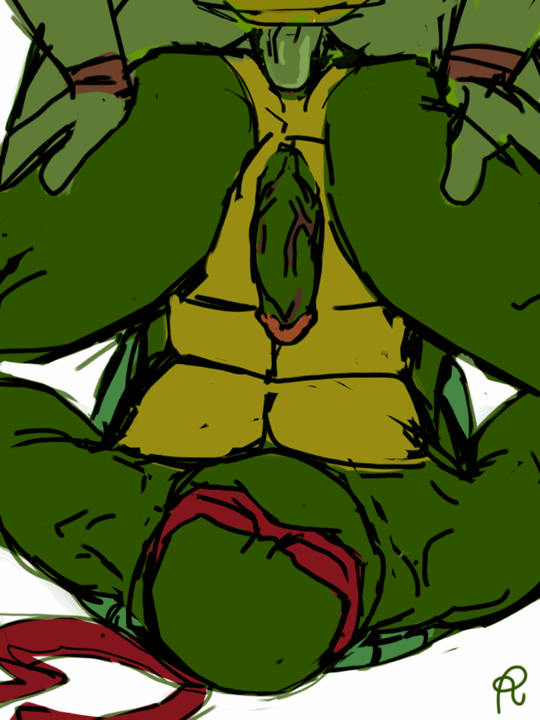 anal anal_sex anthro brothers duo incest male penetration penis raphael reptile ruran scalie sibling teenage_mutant_ninja_turtles turtle yaoi