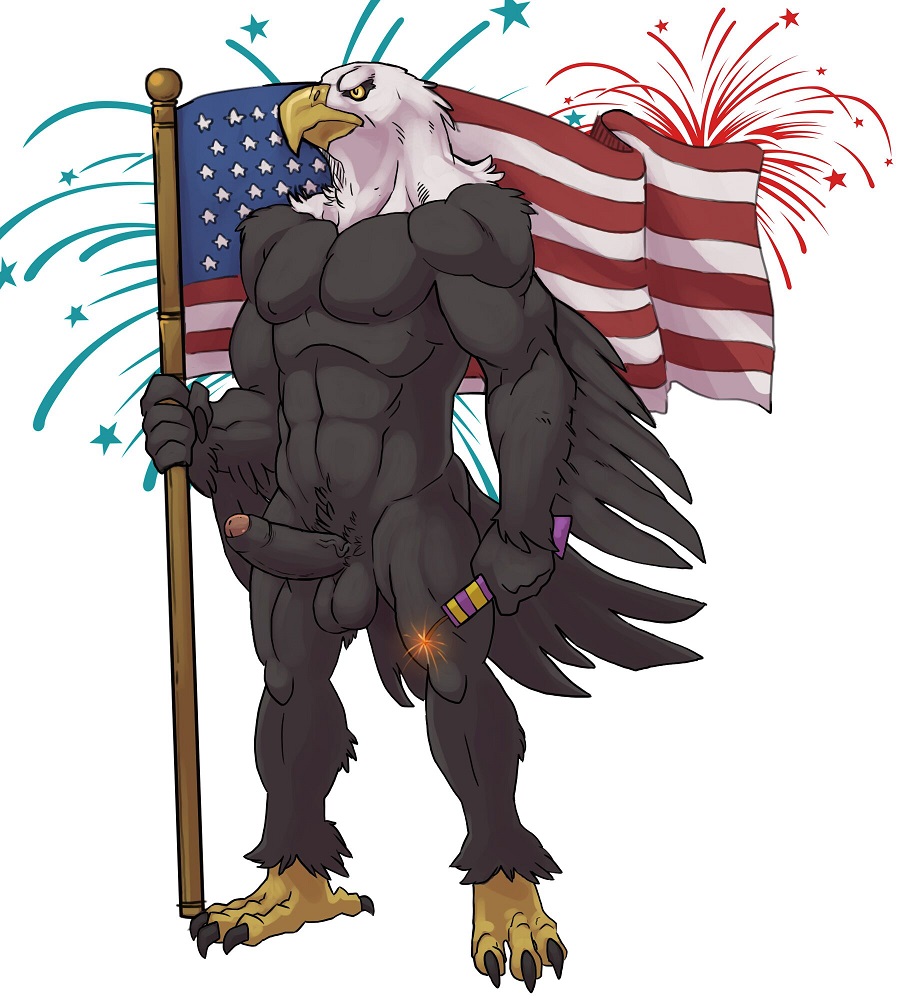 2015 abs american_flag anthro avian badcoyote bald_eagle balls beak bird brown_feathers claws eagle erection feathered_wings feathers firecracker fireworks flag front_view male male_only muscles nude partially_retracted_foreskin pecs penis simple_background solo standing talons toe_claws toned uncut wings yellow_eyes