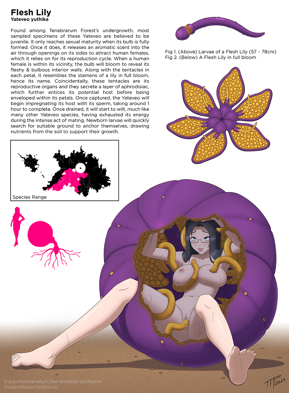 eaten then fucked, female, glasses, impregnation, inside creature, interspecies, interspecies impregnation, lore, monster, monster on female, original, original character, plant, professor ashley (ttp), tentacle, tentacle impregnation, tentacle in pussy, the tentacle professor, vore, x-ray, x-ray view