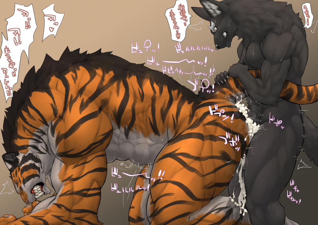 abs anal canine captainjohkid cum feline flakjacket0204 male mammal muscles nude orgasm plain_background text tiger translation_request wolf yaoi