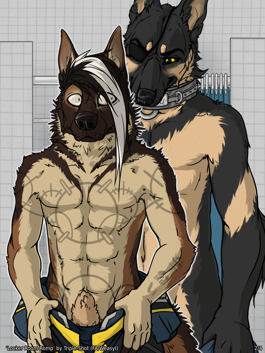 2015 animal_genitalia anthro balls canine canine_penis collar duo fur furry furry_only german_shepherd hair male male_only mammal muscles nude penis triple-shot undressing