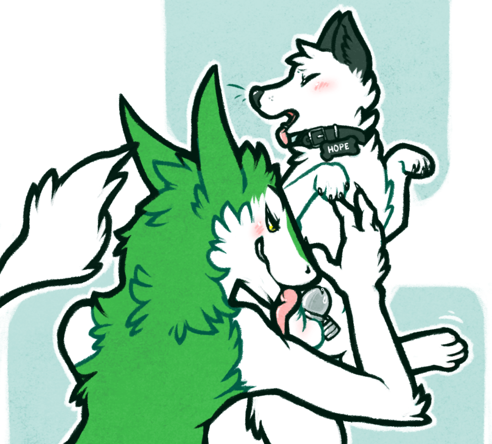 anthro arctic_fox ball_lick blush canine chastity chastity_cage chastity_device collar feral fox furry licking male male_chastity male_only mammal open_mouth oral paws precum sergal sex shugowah simple_background size_difference tongue tongue_out