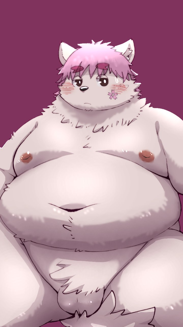 2024 anthro balls belly big_belly blush felid feline genitals hi_res kemono male mammal menmen_kesinn moobs navel nipples overweight overweight_male simple_background solo