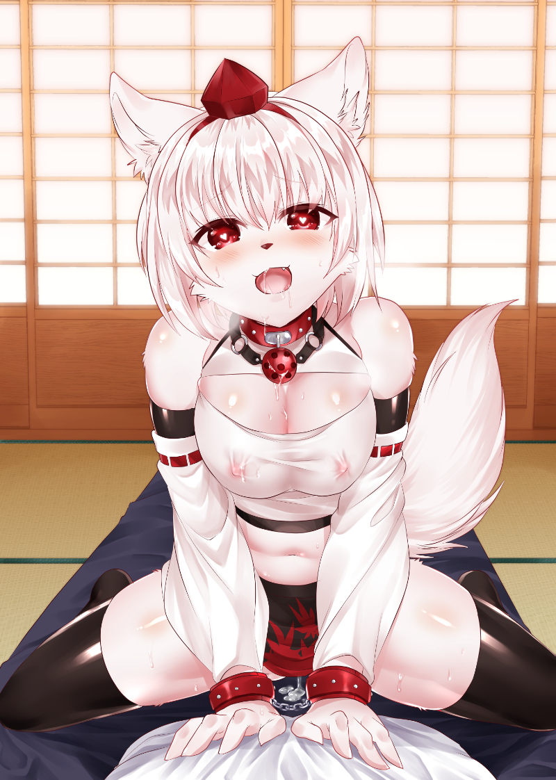 animalization breasts furry momiji_inubashiri nipples pov red_eyes ruri_tsubame short_hair stockings touhou white_hair wolf