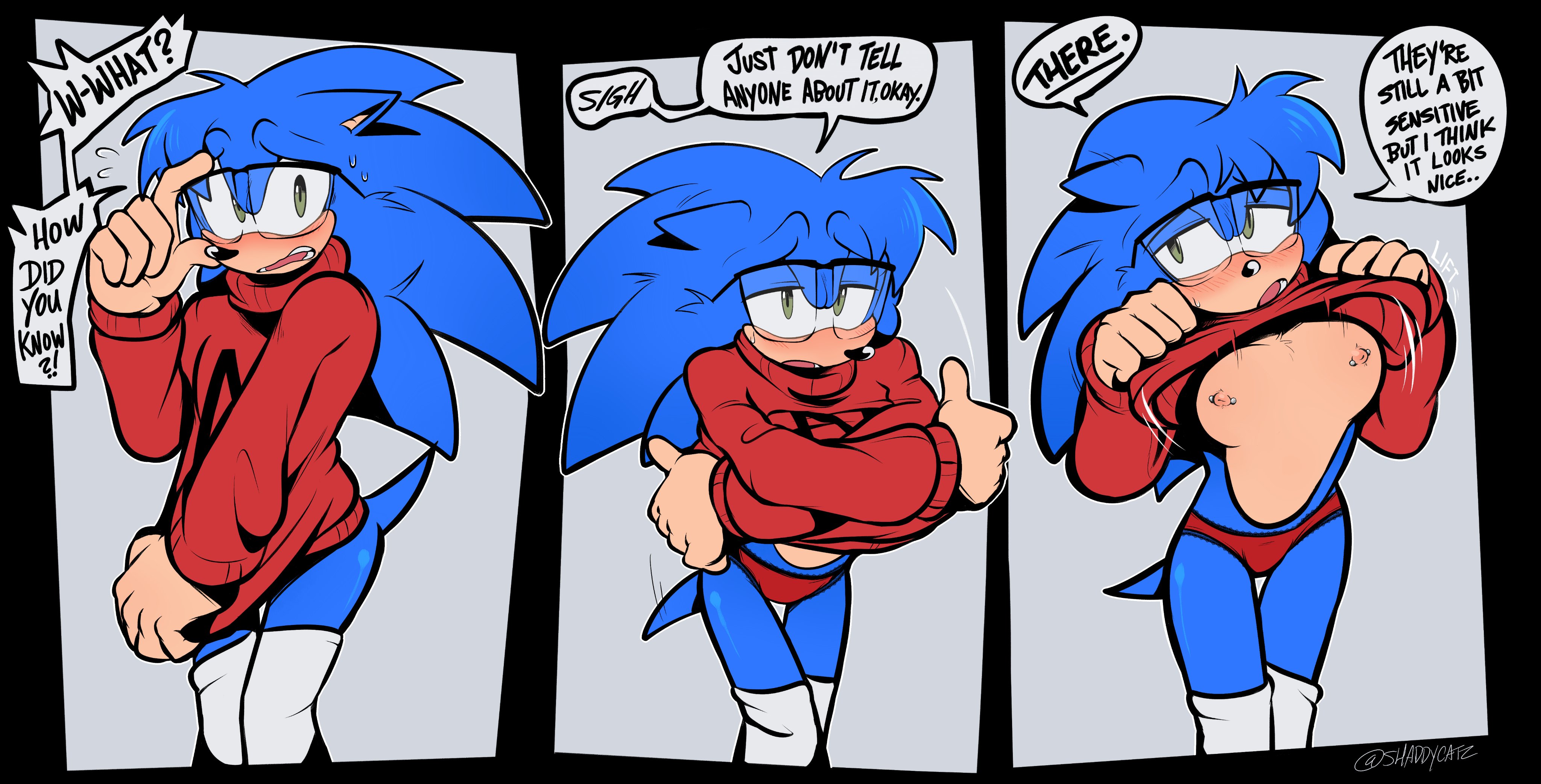 breasts, breasts out, cuntboy, cuntboy with breasts, flashing, flashing breasts, furry, furry only, intersex, male, male with breasts, medium breasts, nicky the hedgehog, nipple piercing, nipples, pierced nipples, piercing, piercings, pinup, shaddycatz, sonic (series), sonic the hedgehog, sonic the hedgehog (series)