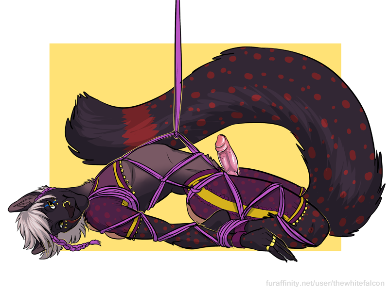 2015 animal_genitalia anthro barbs bondage bound canine_penis ear_piercing fur hair harem knot lying male male_only on_back penis piercing purple_fur rope solo thewhitefalcon white_hair