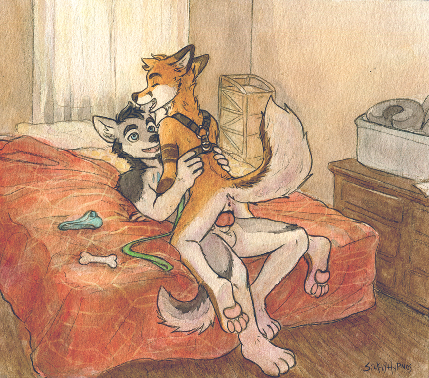 anthro canine cuntboy duo fox furry intersex justfox justwusky male mammal pussy sicklyhypnos