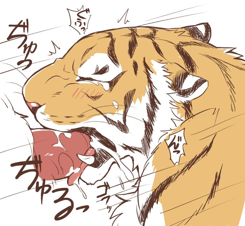 cum feline giraffe_(artist) male male_only mammal oral tiger