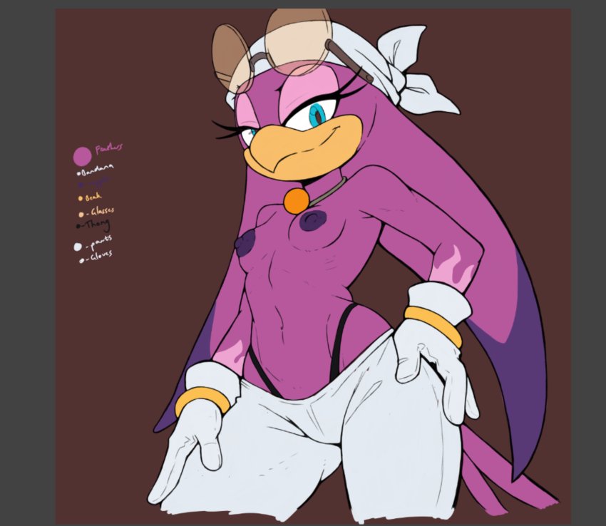 breasts, dark nipples, female, retbriar, sega, smile, sonic (series), sonic the hedgehog (series), thong, topless, wave the swallow