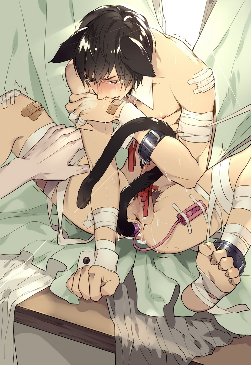 2boys, anal, bandage, bite marks, cat, cat boy, catboy, cum, dildo, feline, gay, male, multiple boys, multiple males, penis, ribbon, sex toy, tears, tied penis, trembling, vibrator, yaoi