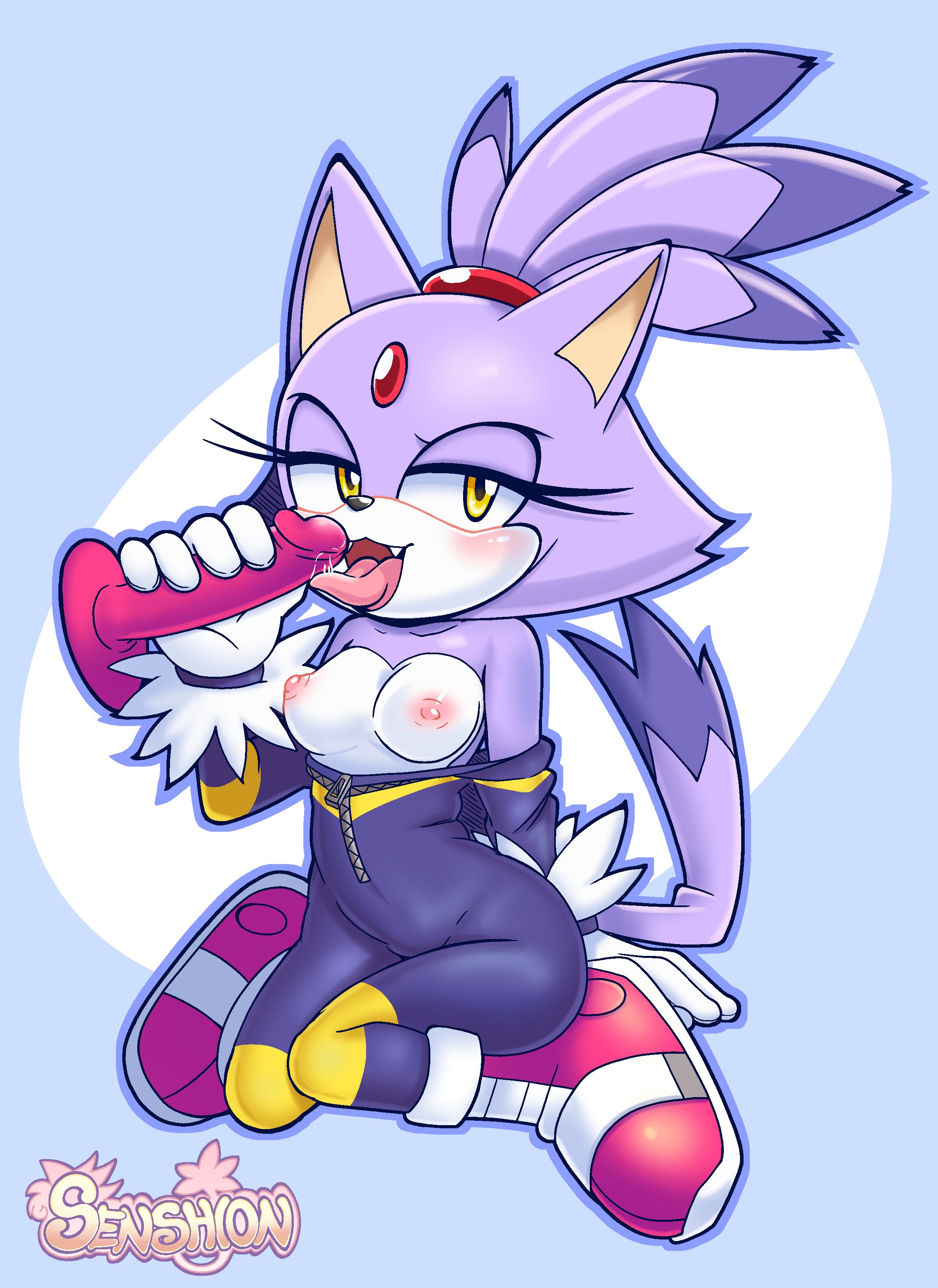 1boy, 1girls, anthro, anthrofied, blaze the cat, breasts, female, female focus, male, sega, senshion, sonic (series), sonic the hedgehog (series), unseen male face