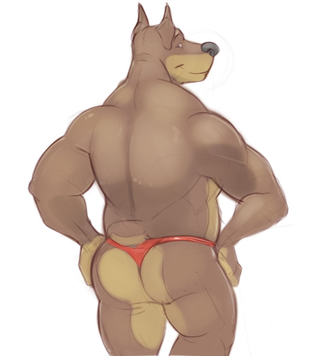 ass canine clothing colored doberman horrorbuns looking_at_viewer male male_only mammal simple_background solo thong white_background