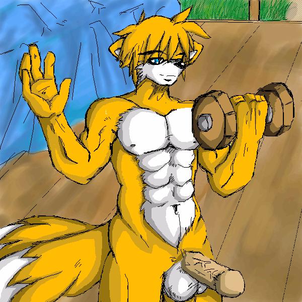 abs anthro balls blue_eyes canine exercise fox fur male male_only mammal penis rion solo sonic_(series) tagme tails weightlifting workout