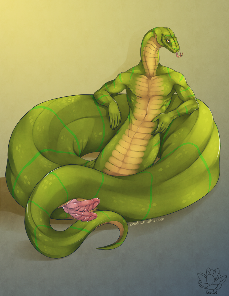 2015 animal_genitalia anthro blue_background diphallia diphallism dyvinex forked_tongue genital_slit gradient_background green_scales hemipenes keedot male male_only multi_penis multicolored_scales muscular muscular_male naga penis reptile scales scalie simple_background slit snake tongue tongue_out two_tone_scales watermark yellow_background yellow_scales