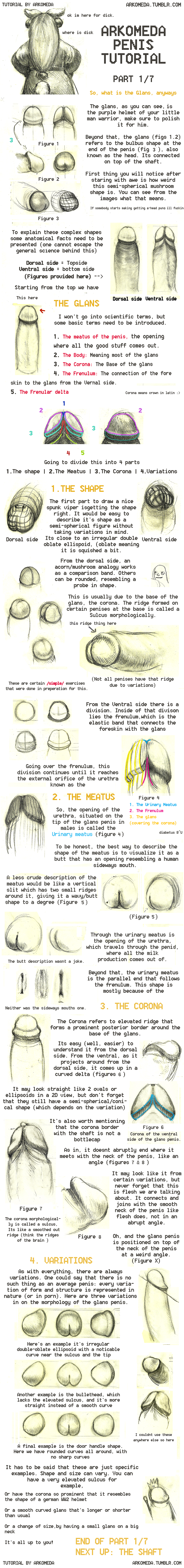 2015 anatomy arkomeda educational flesh glans humor penis tagme text tutorial urethra