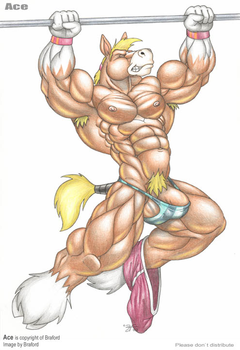 1boy ace_(braford) anthro big_muscles braford equine fetlocks furry furry_only horse male male_only mammal muscular solo traditional_media_(artwork)