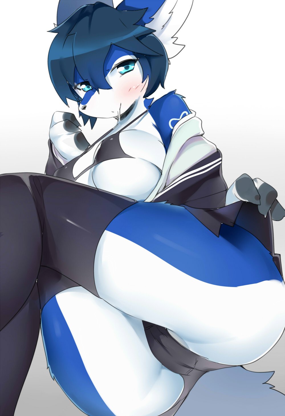 2019 anthro ass bikini black_hair black_nose blue_eyes blue_fur blush bottomwear cameltoe canid canine canis clothing faeki female fur hair hi_res leg_warmers legwear mammal panties partially_visible_vulva portrait saki_(garasaki) short_hair simple_background skirt solo swimwear underwear white_background white_fur wolf