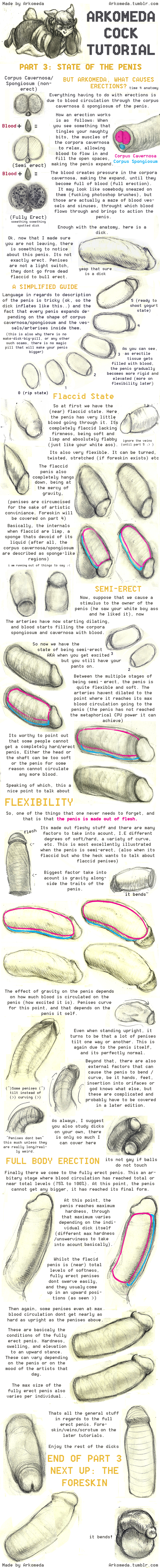 2015 anatomy anthro arkomeda caprine clothed clothing educational erection female flaccid fur male mammal penis sheep text traditional_media_(artwork) tutorial uncensored