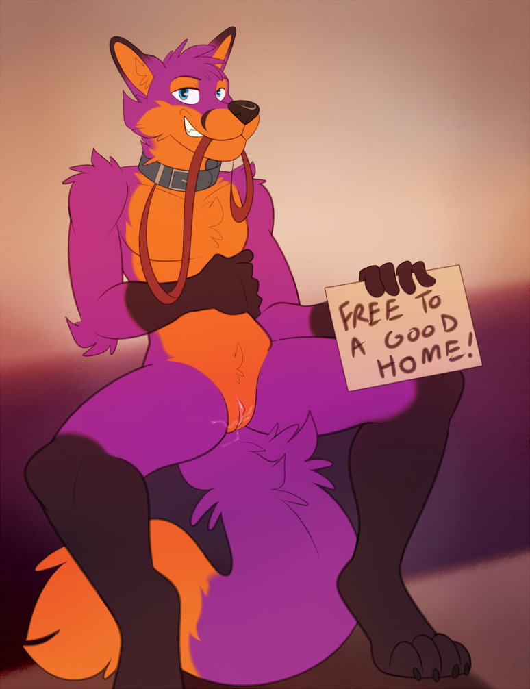 2015 canine clitoral_hood collar cuntboy fox fur hair harlem intersex leash mammal orange_fur purple_fur purple_hair pussy pussy_juice solo spread_legs spreading