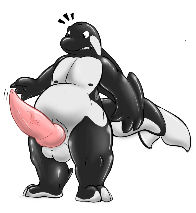 1boy anthro balls cetacean chubby erection male male_only mammal marine nude onigrift orca penis simple_background solo whale