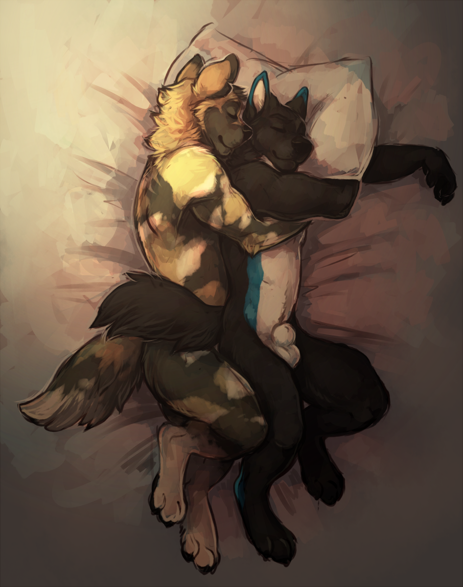 2015 african_wild_dog anthro balls bed black_fur blue_fur brown_fur canine cherrybox closed_eyes duo fur hair lying male male_only mammal nude on_side penis pillow sheath sleeping smile spooning white_fur wolf yaoi