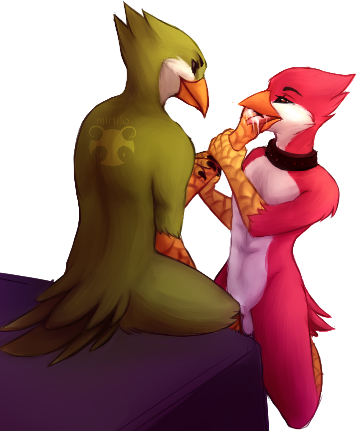 2015 after_sex alpha_channel anthro askos avian avian_(starbound) balls beak bed bird brown_eyes claws collar cum cum_in_mouth cum_inside duo feathers fur green_feathers hand_on_cheek kneeling licking licking_hand maladash male mirtilo nude open_mouth penis red_feathers simple_background sitting smile starbound tail_feathers talons tongue tongue_out transparent_background video_games yaoi