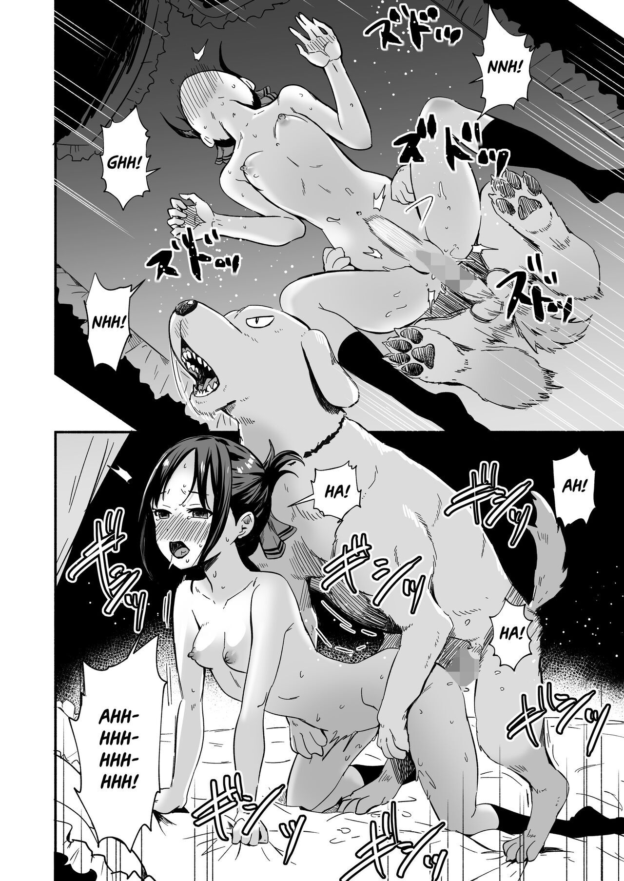 all fours, bed, canid, canine, canis, censored, doggy style, domestic dog, female, female on feral, feral, feral on female, feral on human, feral penetrating, kaguya-sama wa kokurasetai ~tensai-tachi no renai zunousen~, male, nude, penetration, pes (kaguya-sama wa kokurasetai), sex, silver dog, stomach bulge, zoophilia