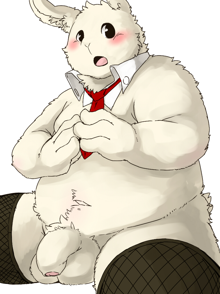 1boy 4_fingers anthro balls blush chubby clothing donguri flaccid fur humanoid_penis lagomorph legwear male male_only mammal necktie open_mouth penis rabbit simple_background sitting solo stockings uncut white_fur