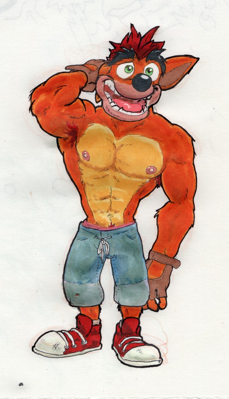 10s 1boy 2019 anthro armpit_hair azul_(artist) bandicoot belly_button black_eyebrows black_nose crash_(series) crash_bandicoot fingerless_gloves footwear green_eyes hand_behind_head himbo male male_only marsupial muscular muscular_male nipples orange_fur pink_underwear pubic_hair pubic_hair_peek red_hair shorts simple_background solo tan_fur traditional_media_(artwork) two_tone_fur underwear_peek video_games white_background