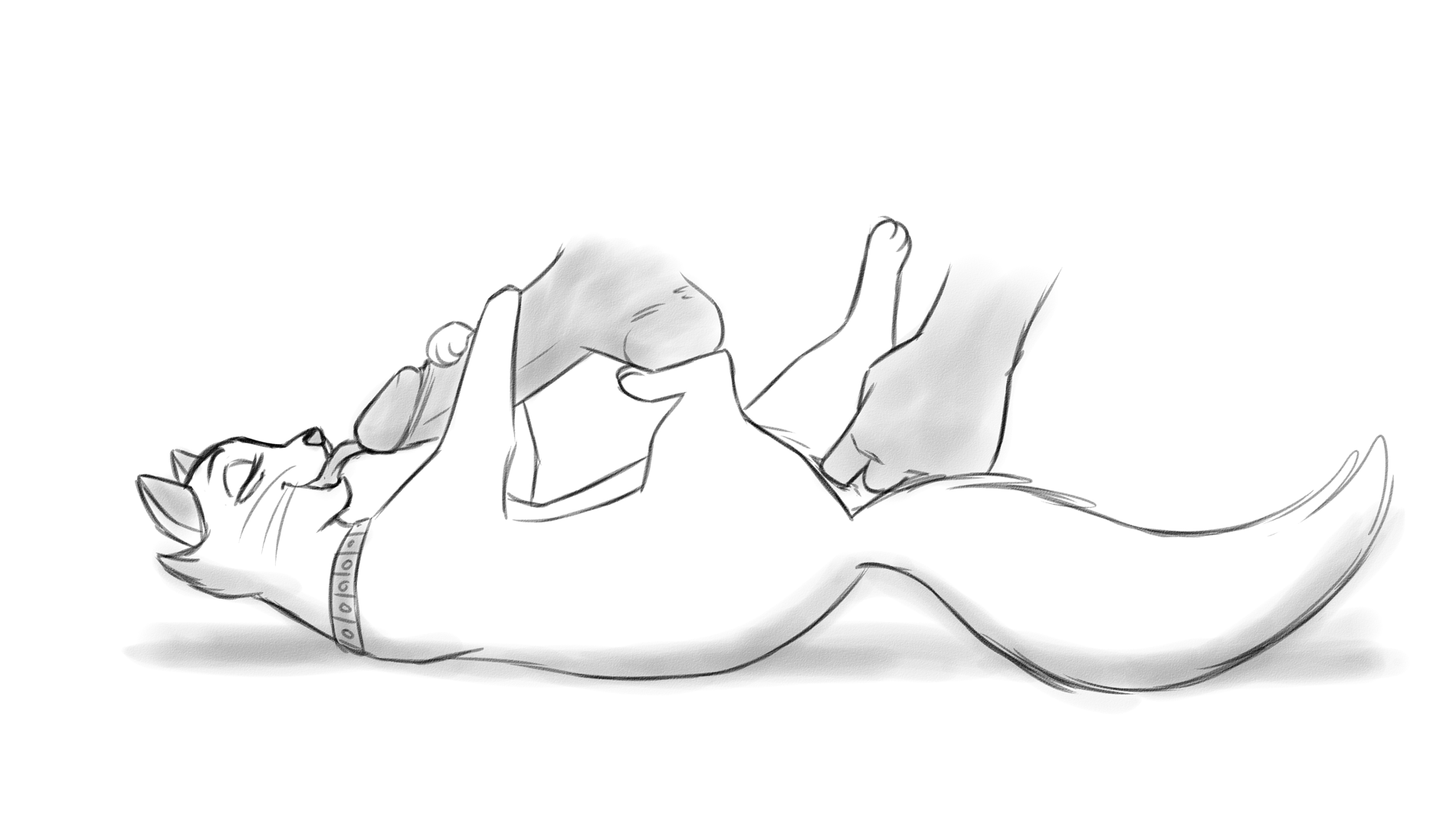 1boy, 1girls, 2015, a cat is fine too, balls, collar, disembodied hand, disembodied penis, disney, duchess (the aristocats), feline, fellatio, female, feral, fingering, footjob, house cat, human, human on feral, humanoid penis, interspecies, male, male human/female feral, male on feral, mammal, monochrome, oral, penetration, penis, pussy, sex, straight, testicles, the aristocats, the giant hamster, unseen male face, vaginal insertion, vaginal penetration, zoophilia