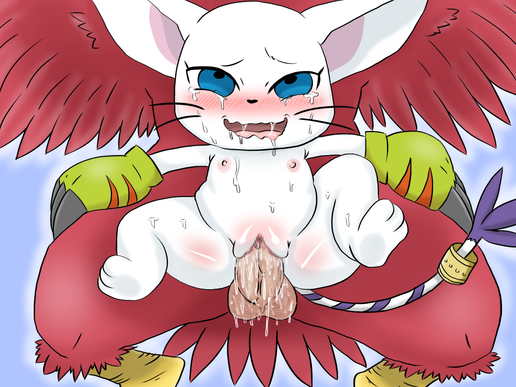 ahe_gao aquilamon avian bird blue_eyes censored claws clothing cum digimon falcon feathers feline female fucked_silly fur gatomon gloves long_tail male mammal nipples penetration penis pussy red_feathers sex solo_focus straight sweat tears vaginal_penetration whiskers white_fur young