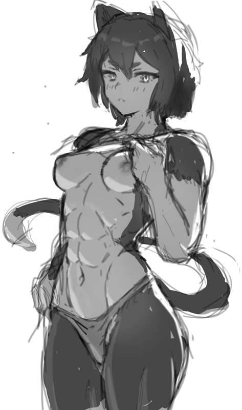 1girls, abs, animal ears, bob cut, breasts, cat ears, cat girl, catgirl, dungeon meshi, female, flashing breasts, furry, izutsumi, muscular, muscular female, nipples, nude, sketch, solo, tail, thong, wersman