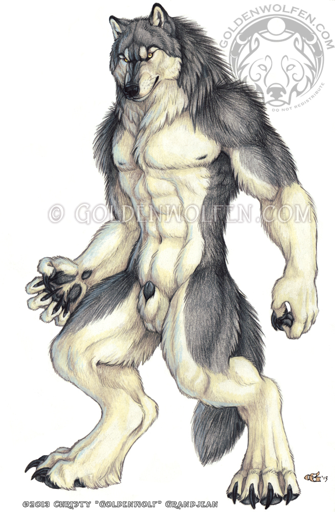 1boy anthro canine goldenwolf heartlessfang male male_only mammal penis sheath solo standing were werewolf wolf