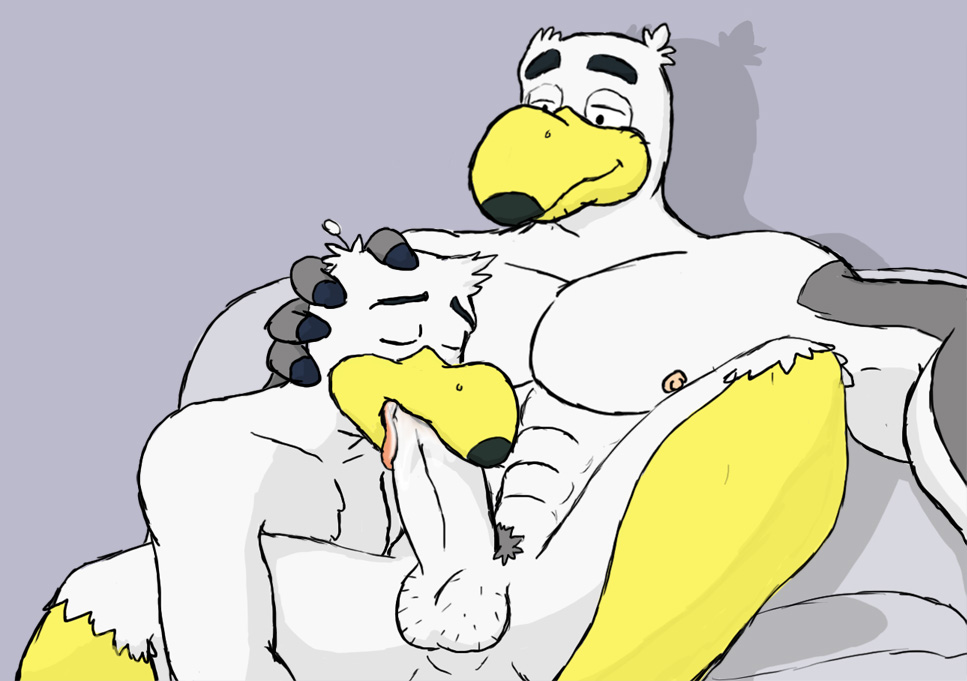 anthro avian ayden_(brogulls) bailey_(brogulls) balls bird brothers duo fellatio incest joejim33 male oral penis seagull sex sibling yaoi