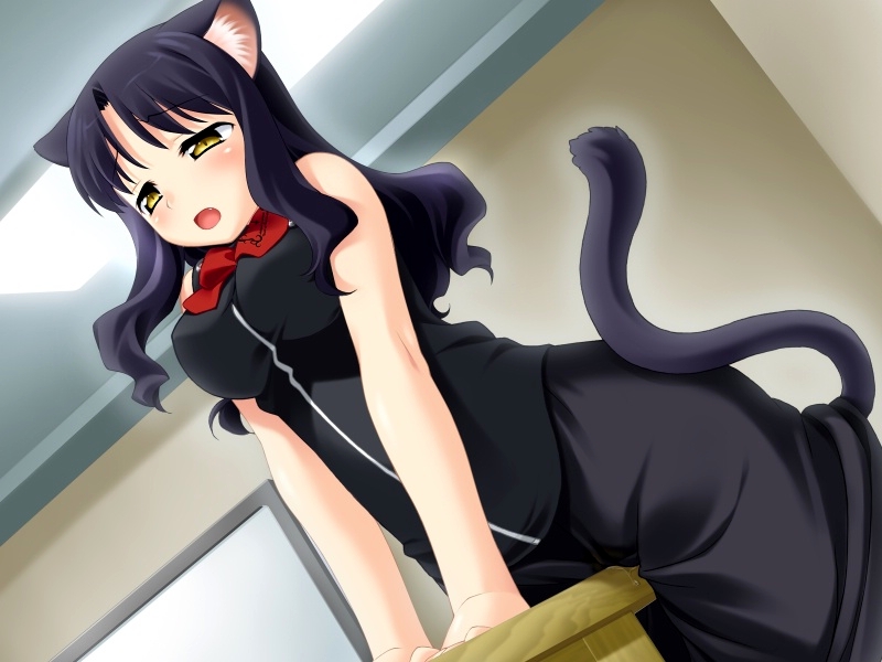 animal_ears arm_support blouse blush cat_ears cat_tail clothed_masturbation clothing crotch_rub cute_fang dutch_angle erect_nipples game_cg humanoid kuu_(wanko) long_hair masturbation mizuki_kotora open_mouth purple_hair skirt slit_pupils solo table table_humping tail wanko_to_kurasou yellow_eyes