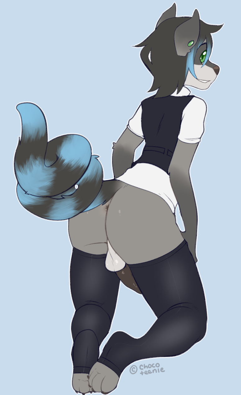 anthro anus backsack balls black_fur black_legwear blue_fur bottomless chocoteenie feline fur furry girly green_eyes grey_fur half-dressed humanoid_penis hybrid looking_back male male_only mammal penis raccoon solo solo_male spiral_staircase thighhighs