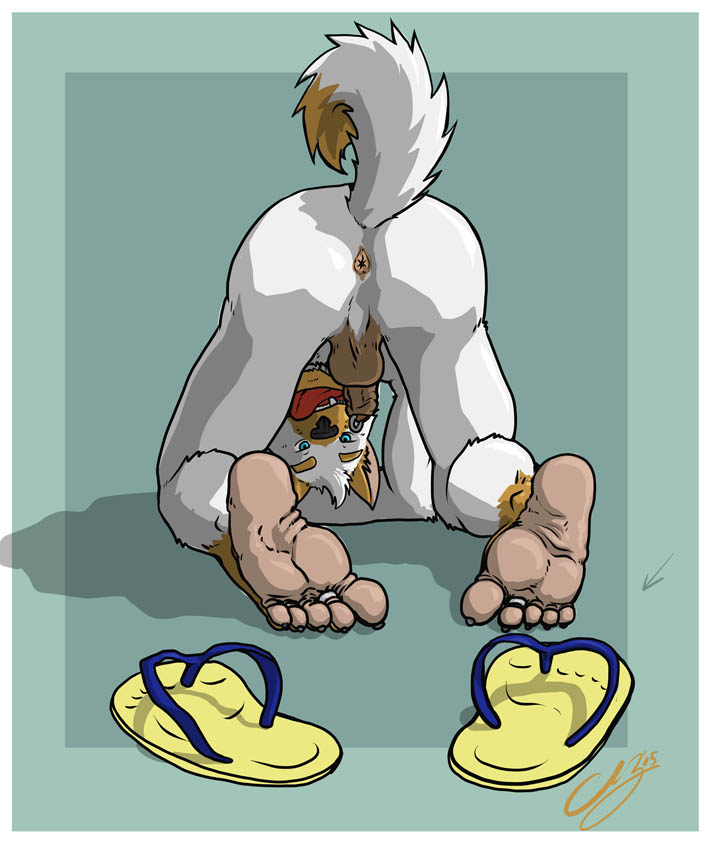 1boy 5_toes anthro anus ass balls blue_eyes canine chestnuts_(artist) claws clothing feet flip-flops flip_flops footprint footprint_on_sandals footwear fur genital_piercing humanoid_feet humanoid_penis looking_at_viewer looking_back male male_only mammal nude open_mouth penis penis_piercing piercing plantigrade pose presenting presenting_hindquarters prince_albert_piercing raised_tail sandals soles solo spread_legs spreading toe_claws toe_ring toes tongue tongue_out uncut