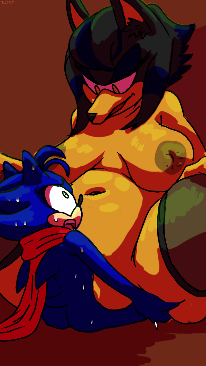 blue_arms blueast breasts chubby huge_breasts larger_female penetration size_difference smaller_male sonic_(series) sonic_the_hedgehog sweat vaginal_penetration