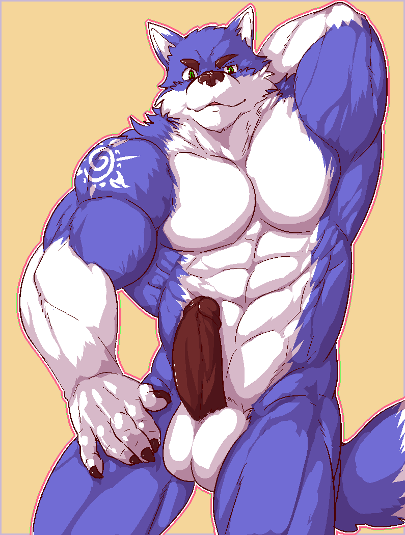 1boy 2016 5_fingers :3 anthro blue_fur bulge canine folf fox fur harness hybrid inner_ear_fluff istani looking_at_viewer male male_only mammal muscular muscular_male navel nik_(sonicfox) nude penis presenting simple_background smile solo uncensored white_fur wolf