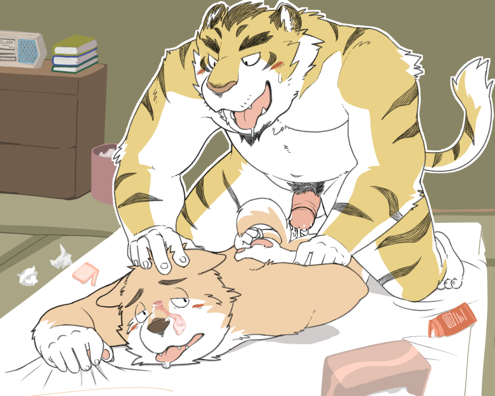 anal anthro canine duo feline gay kotori male male/male male_only mammal penis tiger yaoi