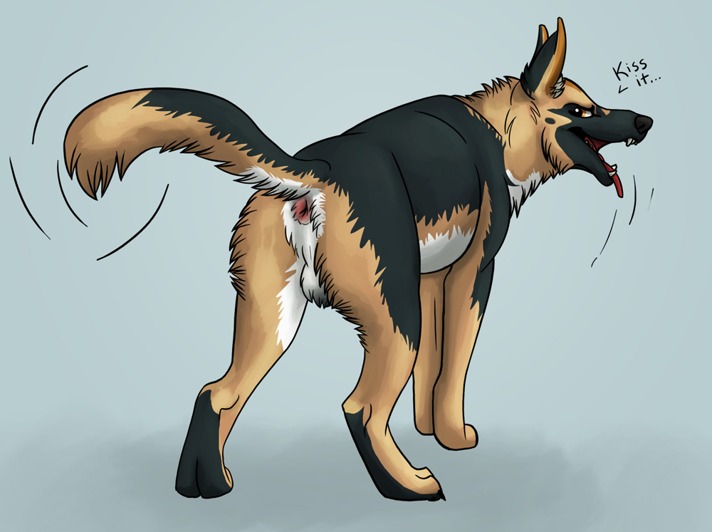 all_fours anus ass balls canine canine feral from-nihility german_shepherd looking_back mammal north_shepherd presenting presenting_hindquarters solo