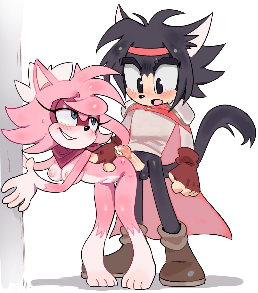 Sonic (Series) Rule 34 Image